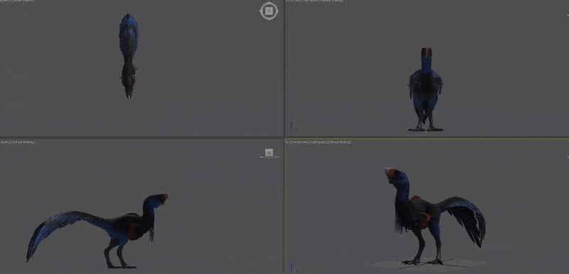Steam Image