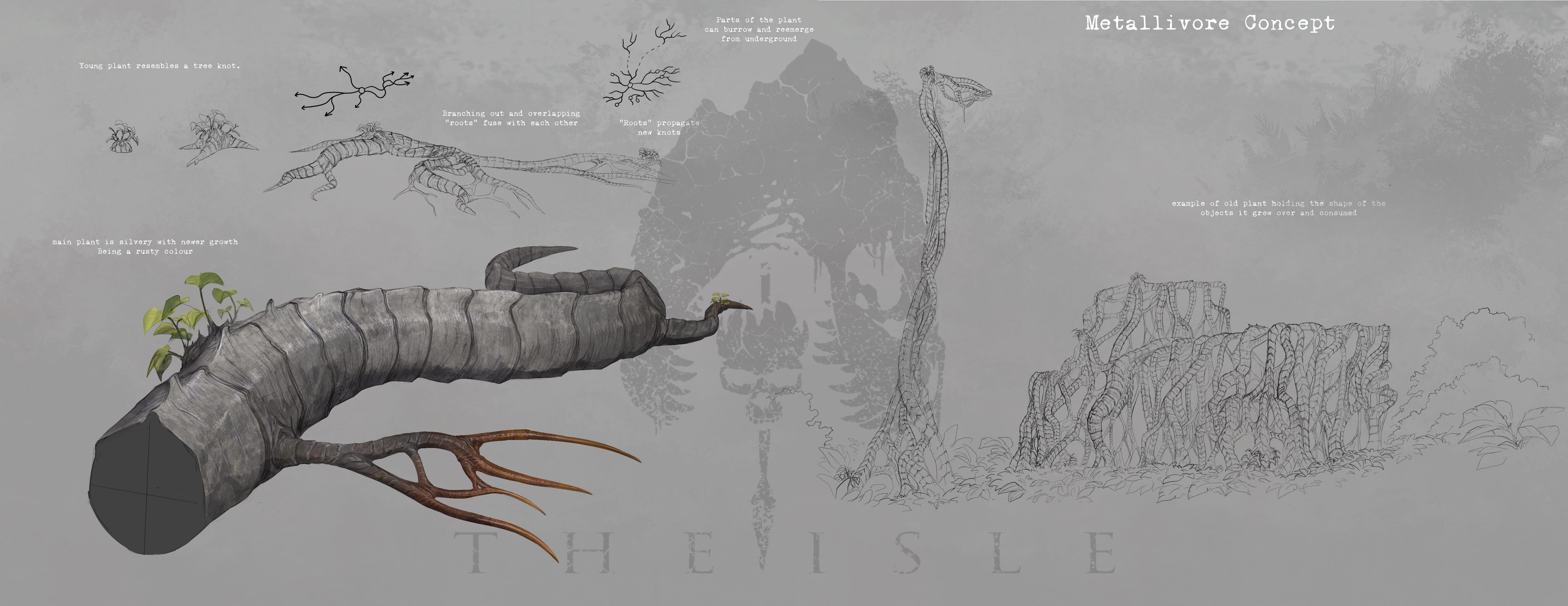 Steam Image