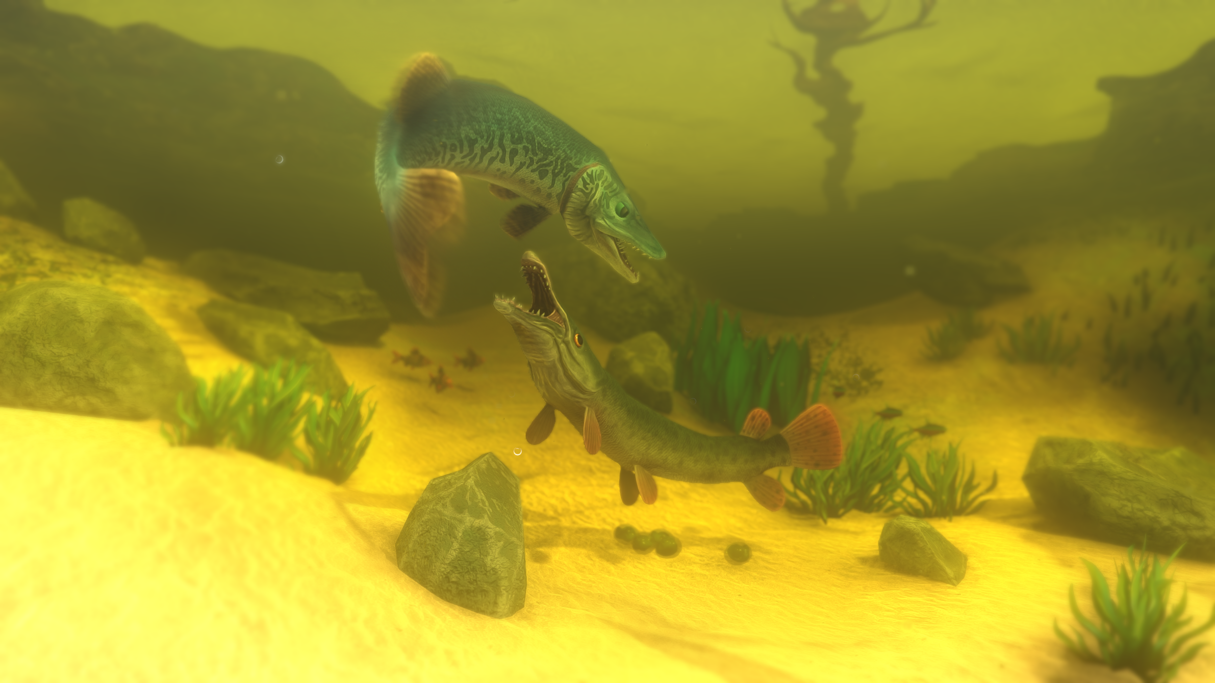 Feed and Grow: Fish on Steam