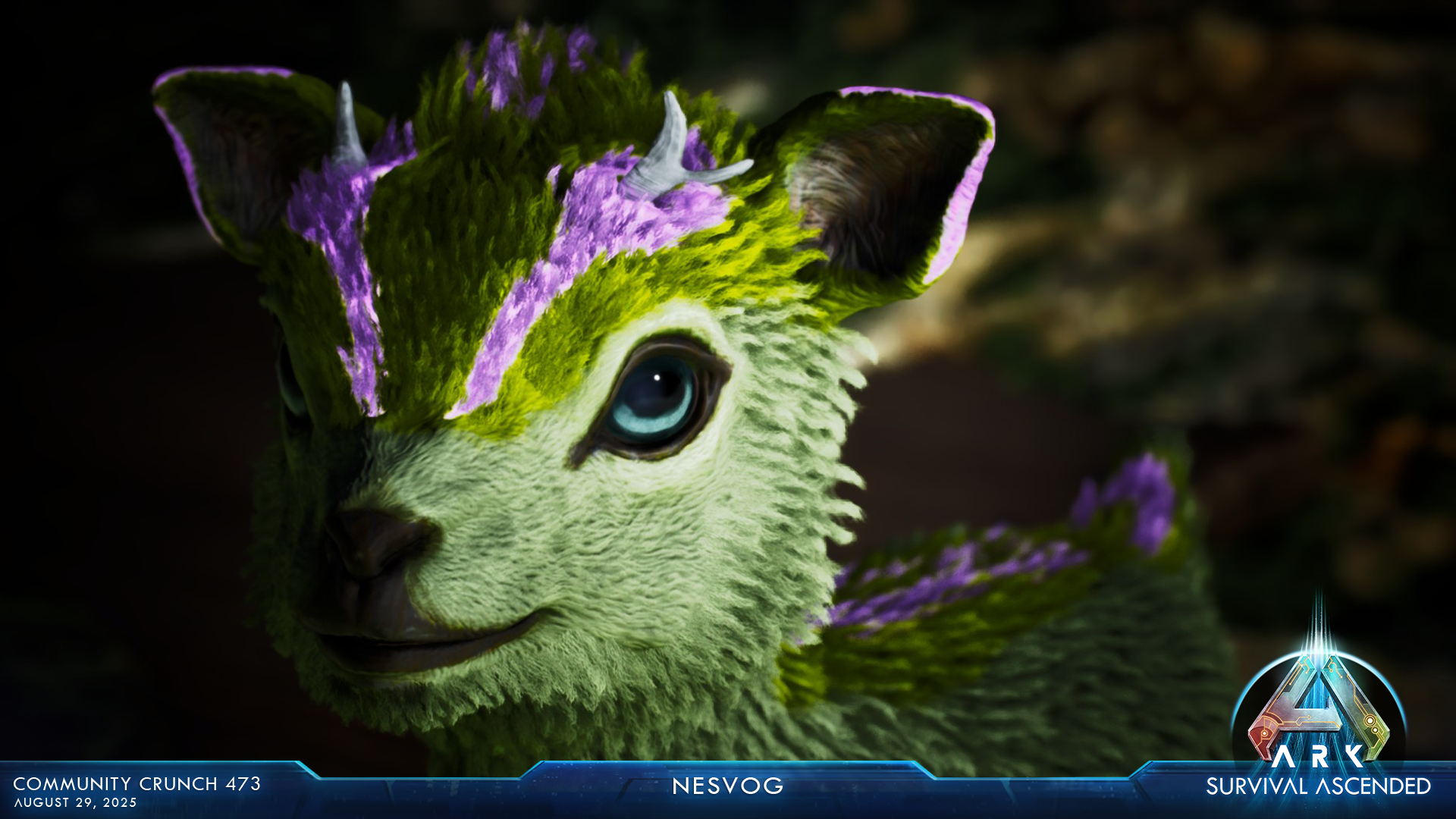 Steam Image