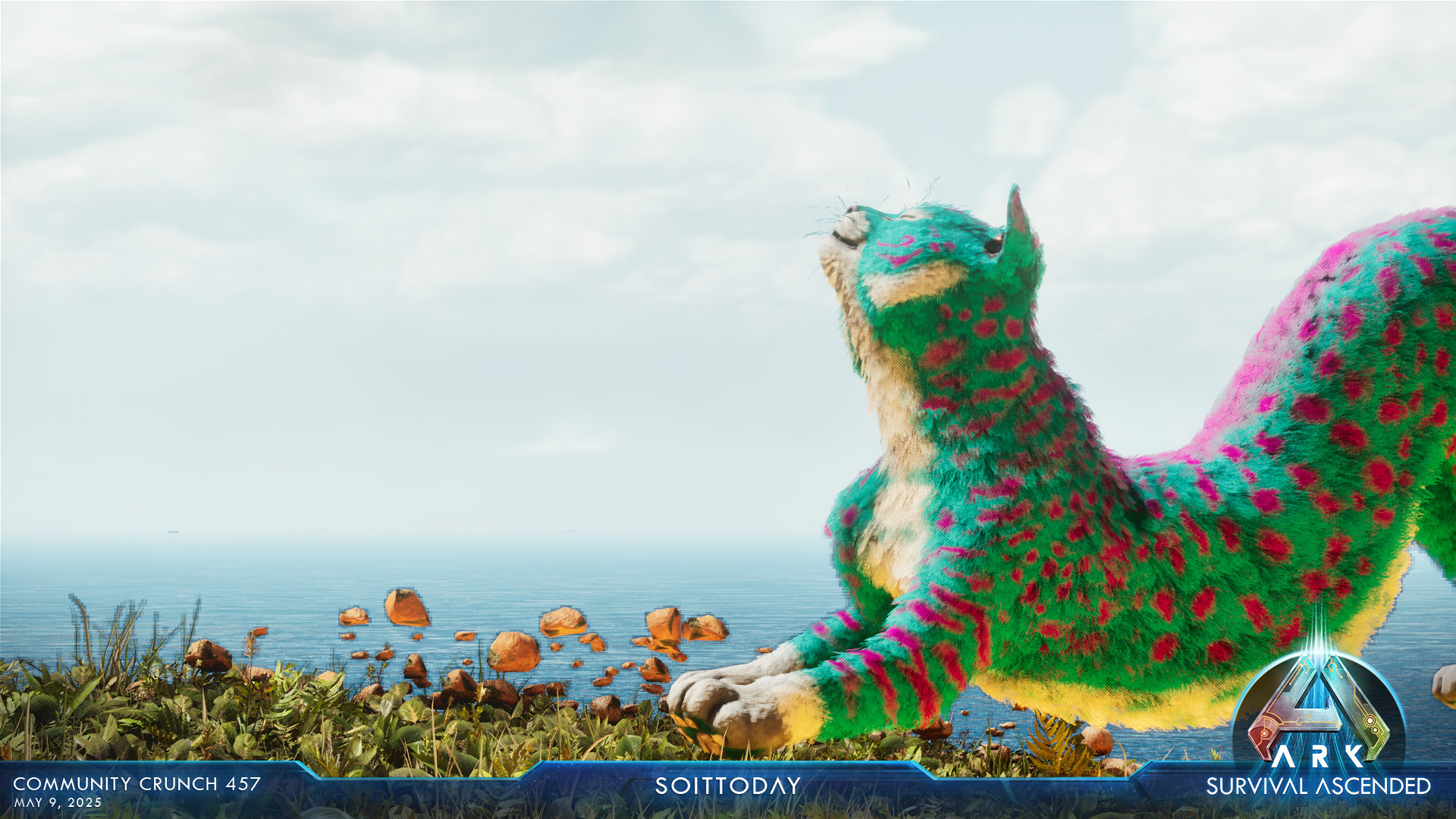 Steam Image