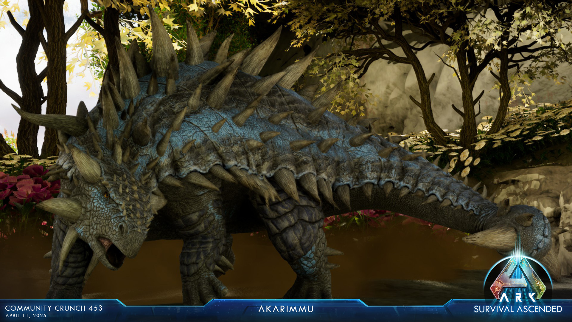 Steam Image
