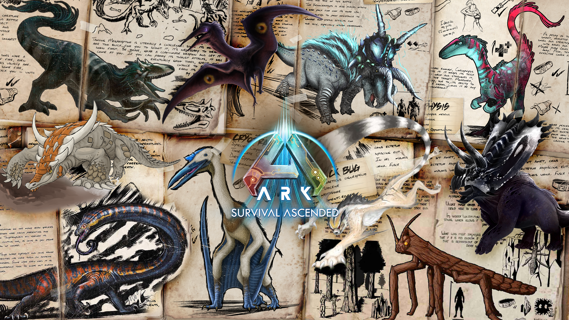 Steam Image