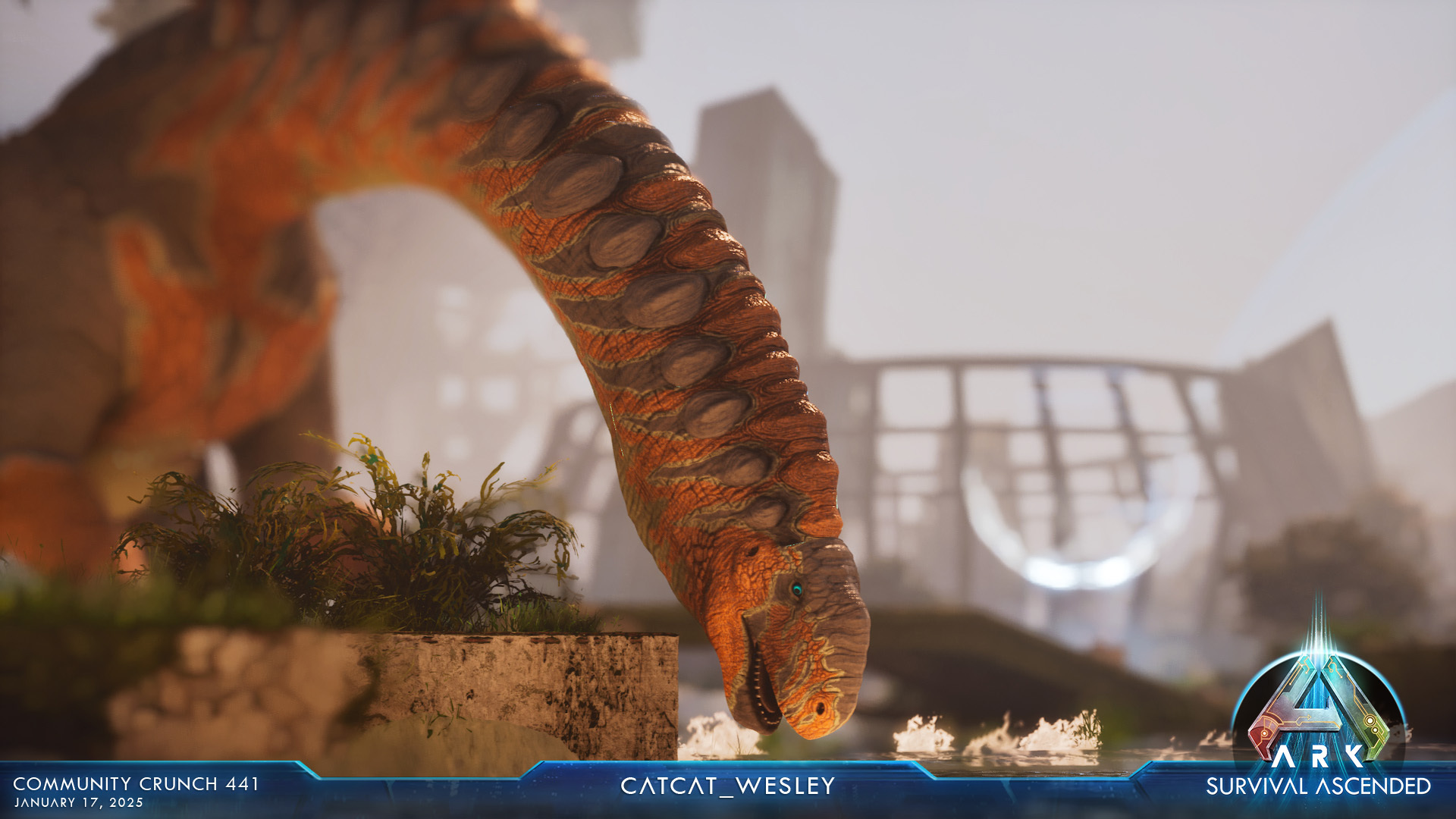Steam Image
