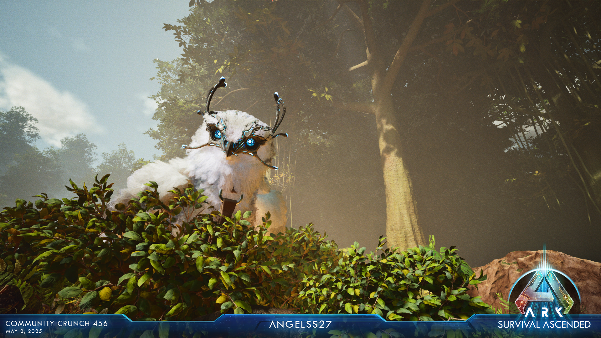 Steam Image