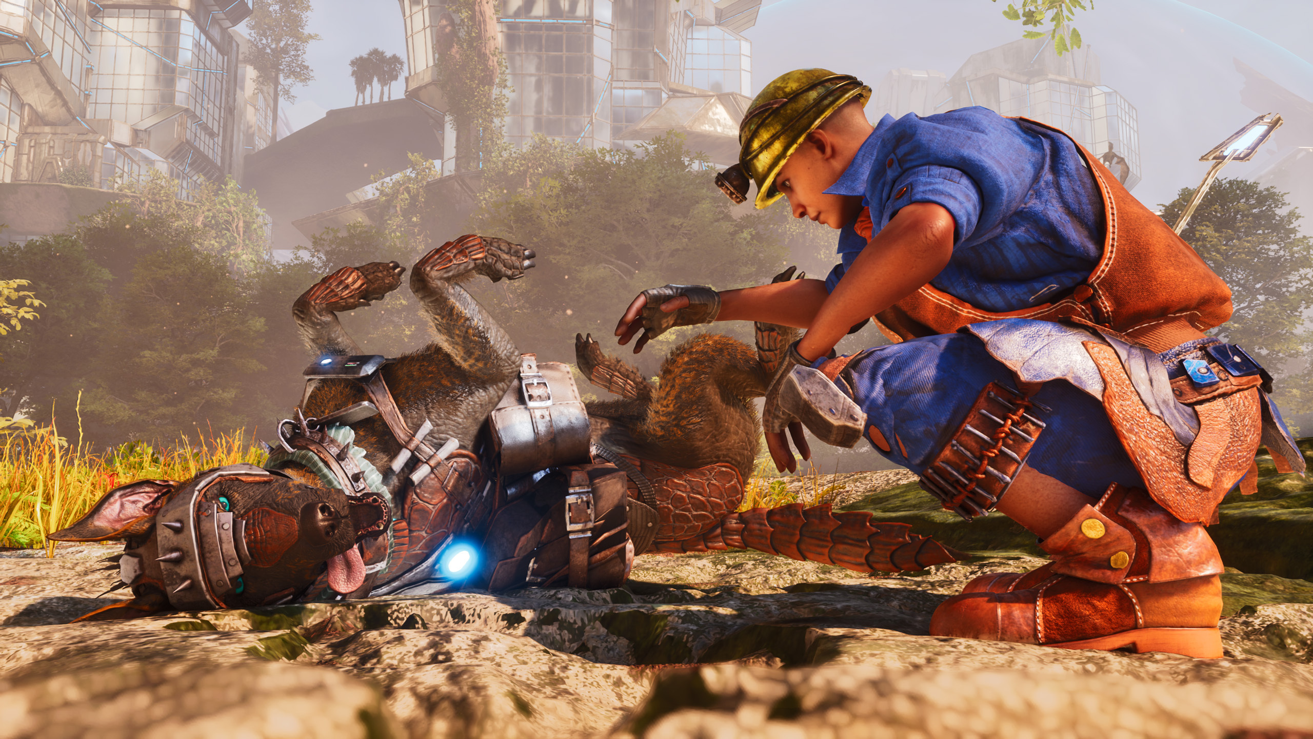 Steam Image
