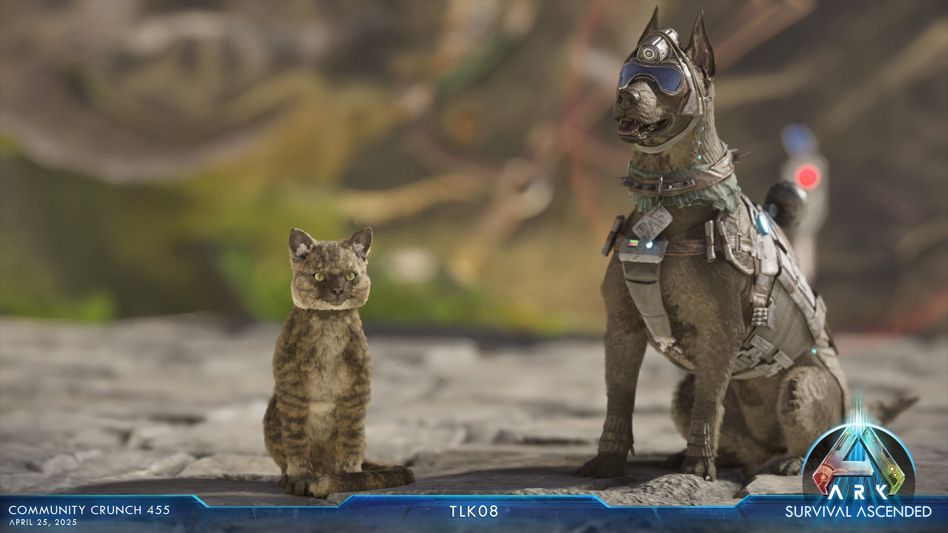 Steam Image