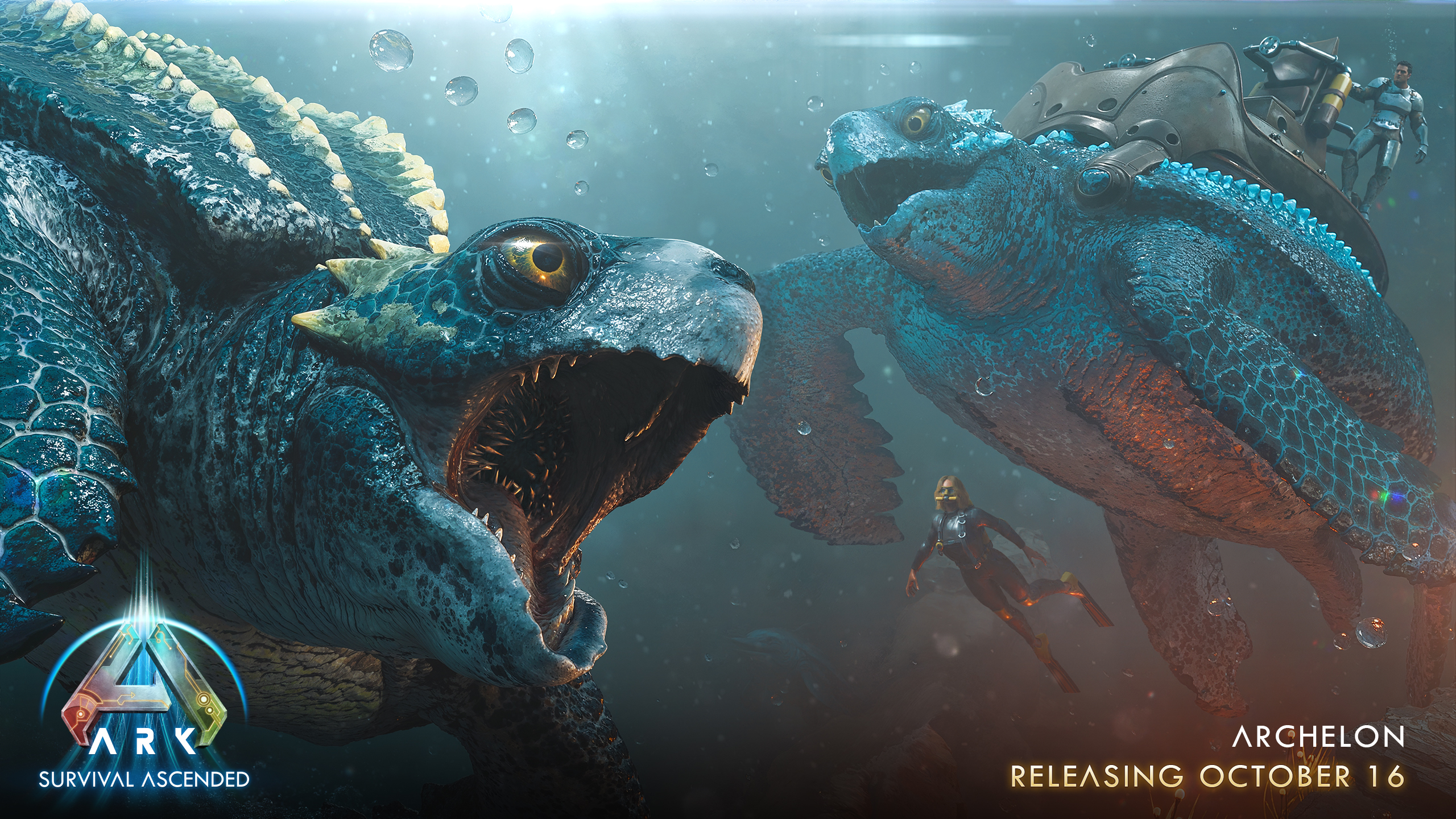 Steam Image