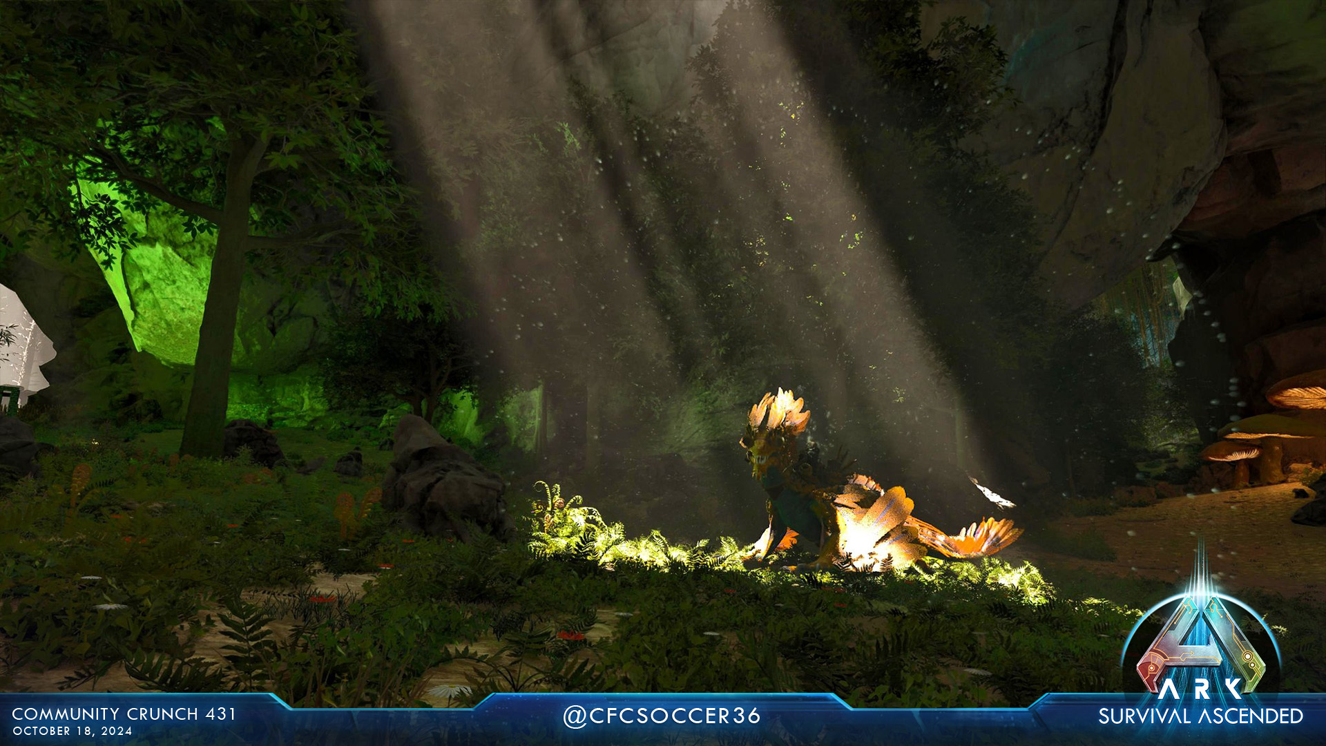 Steam Image