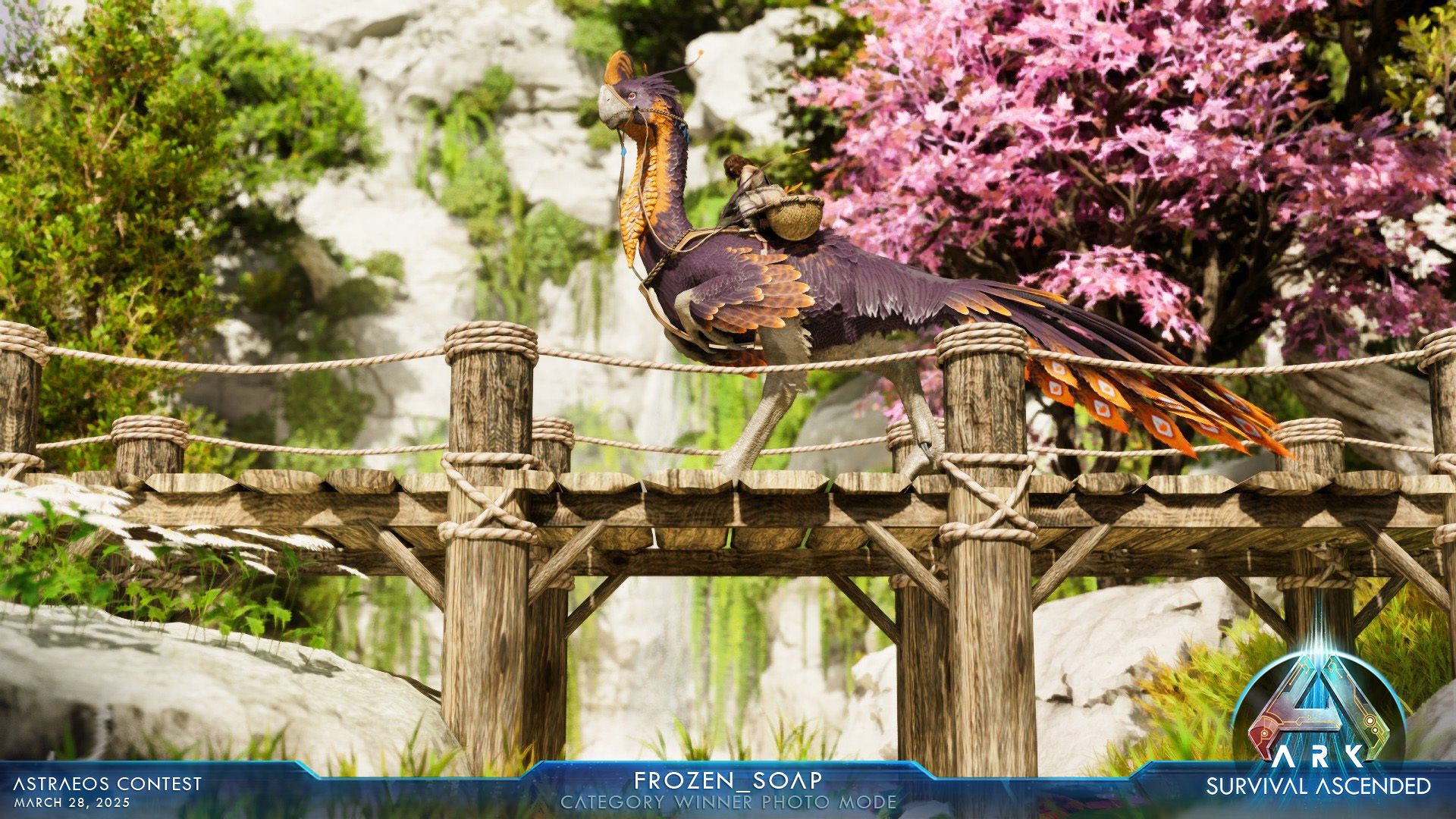Steam Image