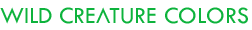 Steam Image