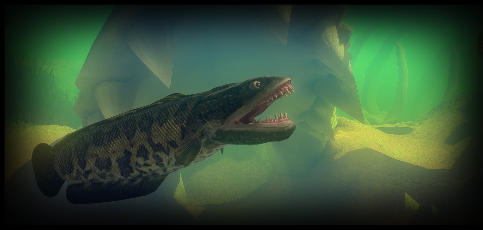 Feed and Grow: Fish Camera Fixes Mod Showcase 