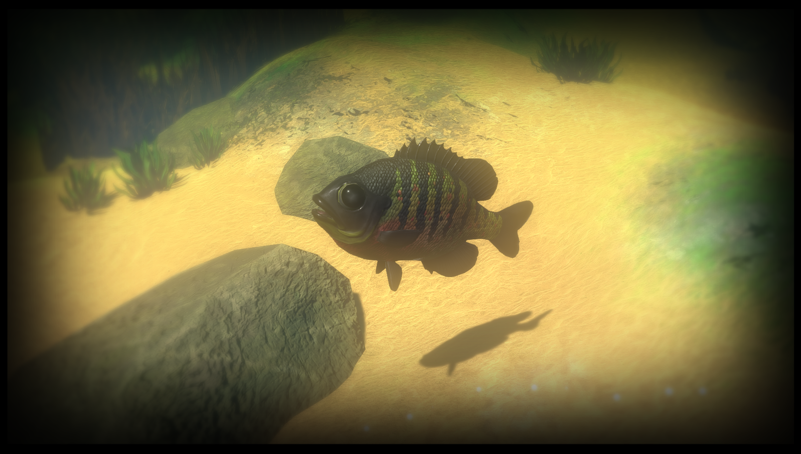 Steam :: Feed and Grow: Fish :: Update 0.14.1