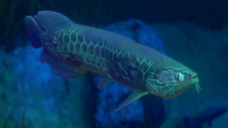 Feed and Grow: Fish - Update 0.14.1 - Steam News