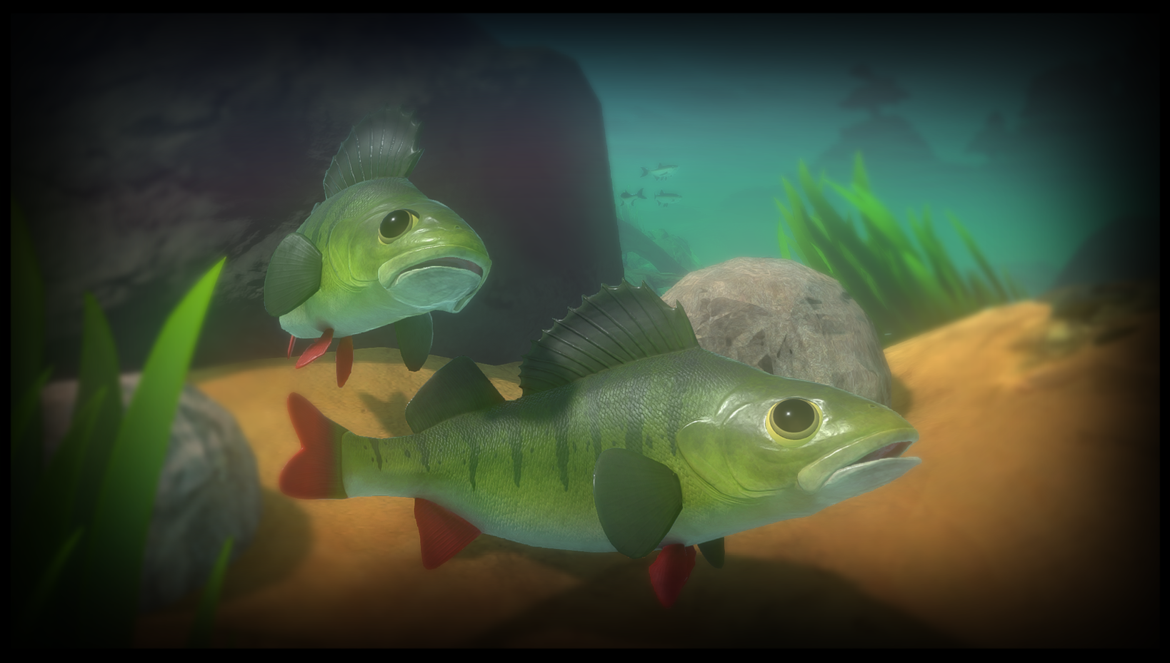 Feed And Grow Fish : Perch 