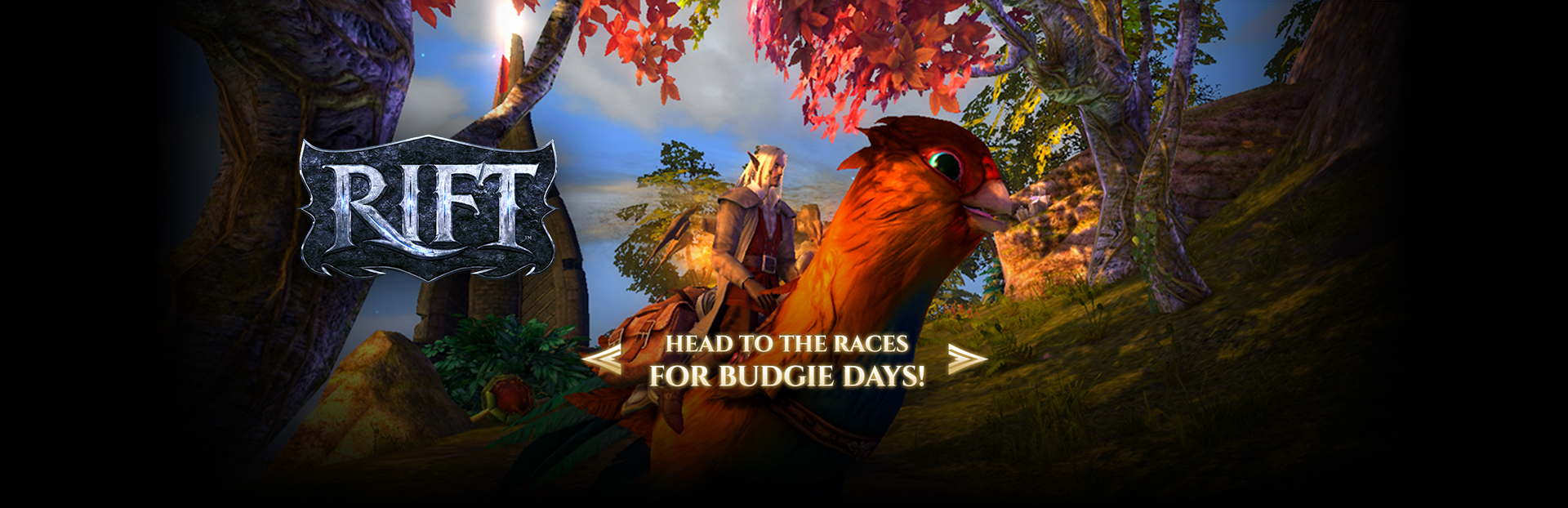 Head to the races for budgie days!