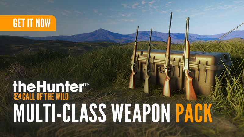  Multi-Class Weapon Pack | Out now!