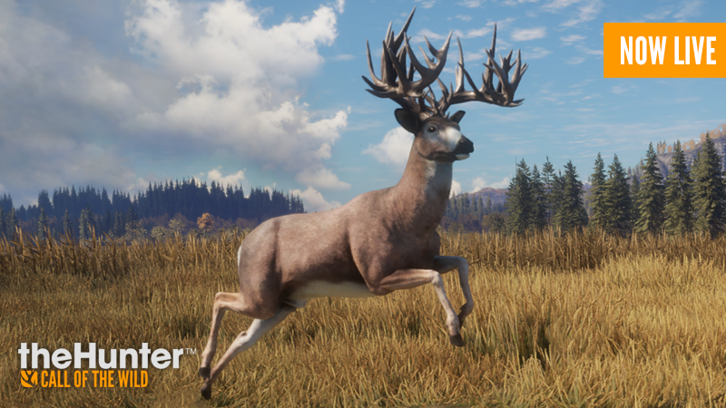 theHunter: Call of the Wild™ - Seasoned Hunter Bundle