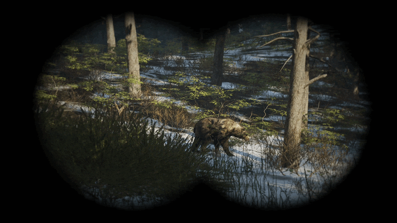 SCUM: INTO THE WILD - June Update | 1.3.1.0.125621