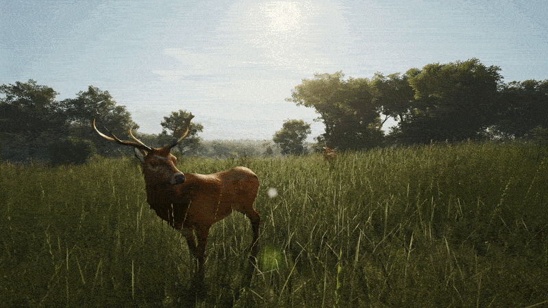 SCUM: INTO THE WILD - June Update | 1.3.1.0.125621