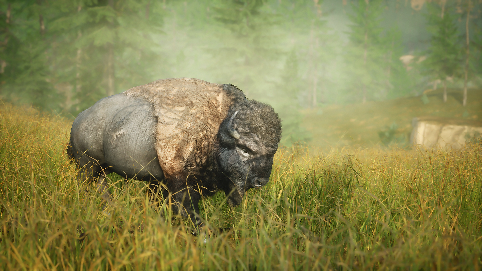 Bigfoot steam gift фото 69