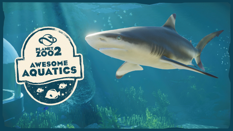 Planet Zoo 2 | Feature Focus: Awesome Aquatics
