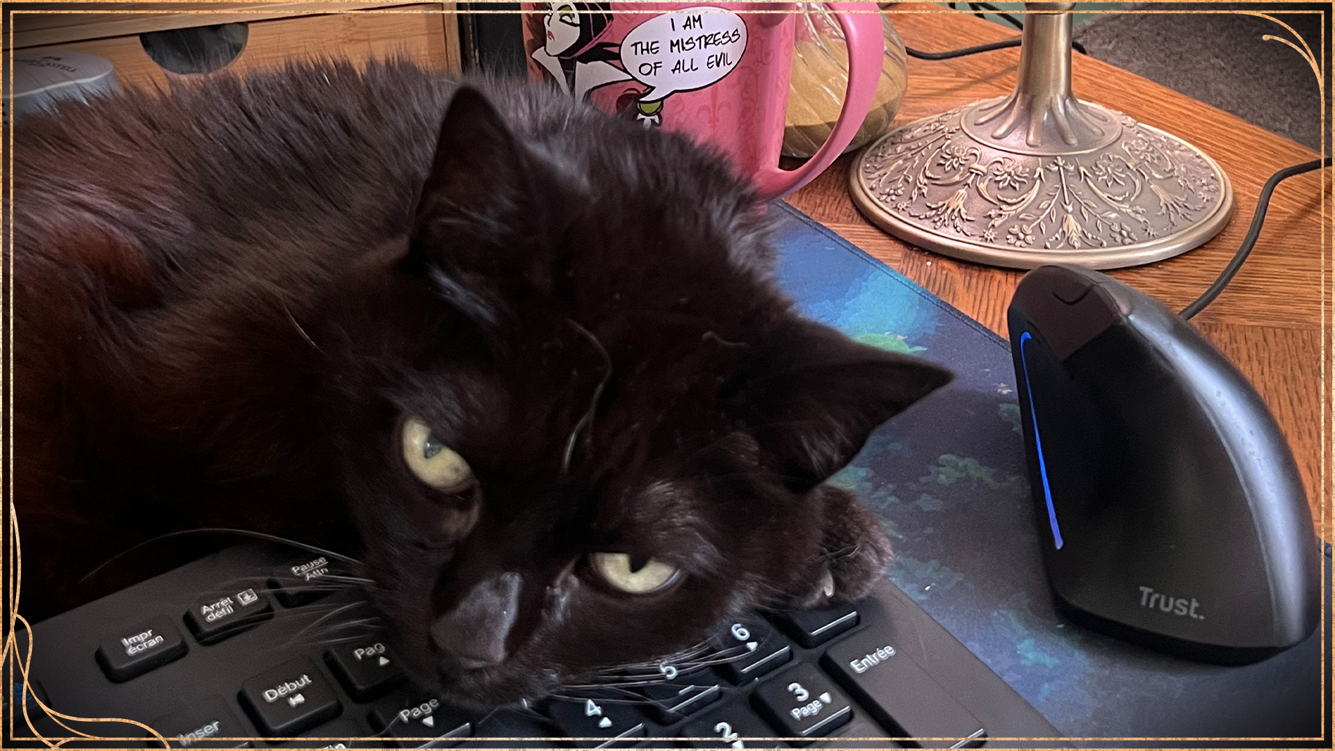 Dev Update #20 - The Year of Adventure is Upon Us!