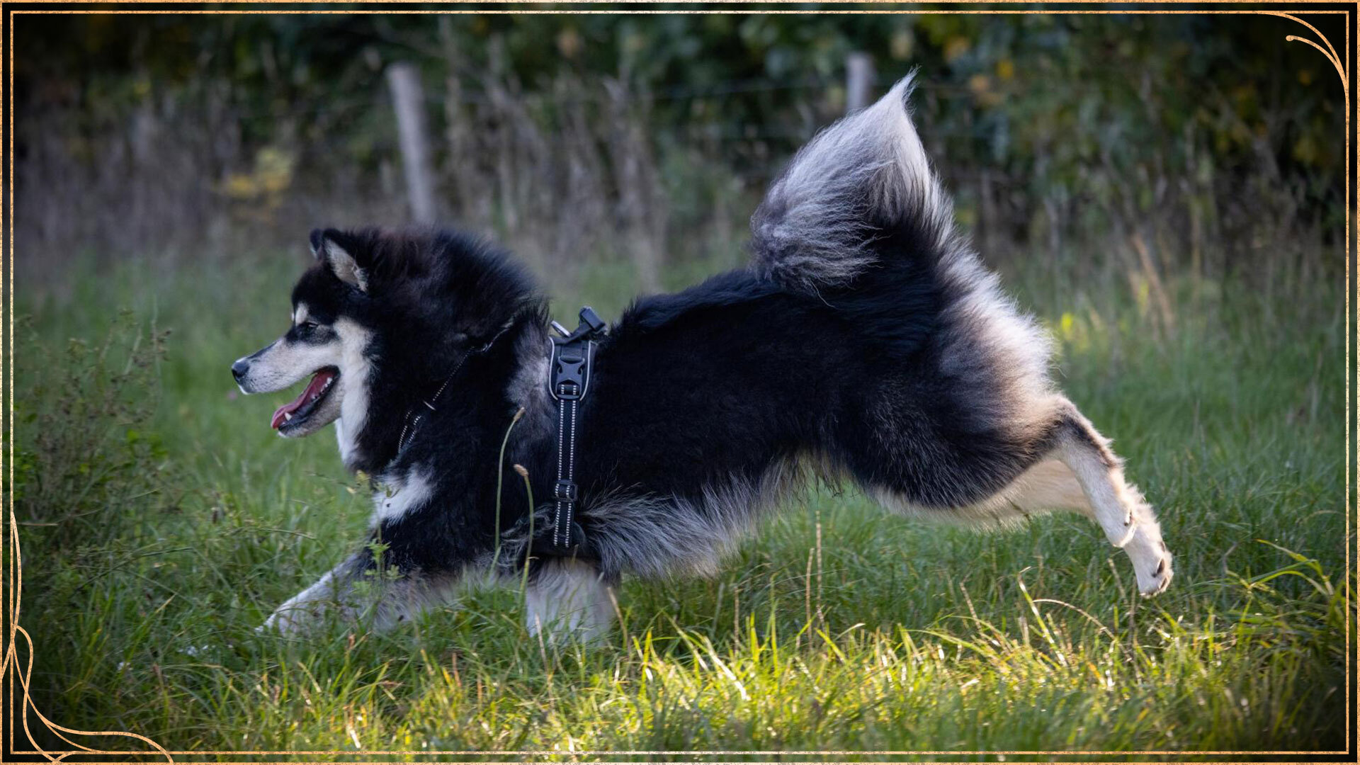 Dev Update #18 - Uncovering the World Map