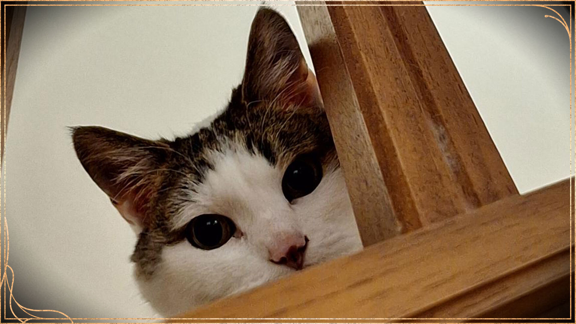 Road to Early Access - Answering your Questions