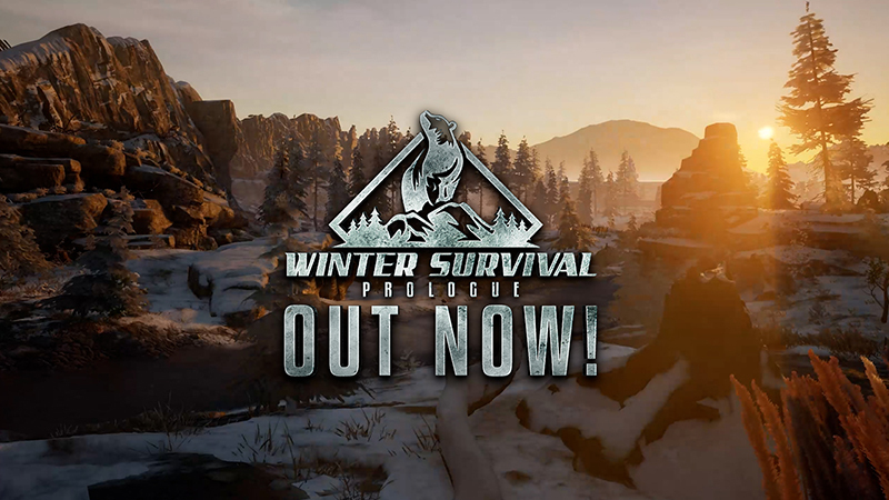 Winter Survival on Steam