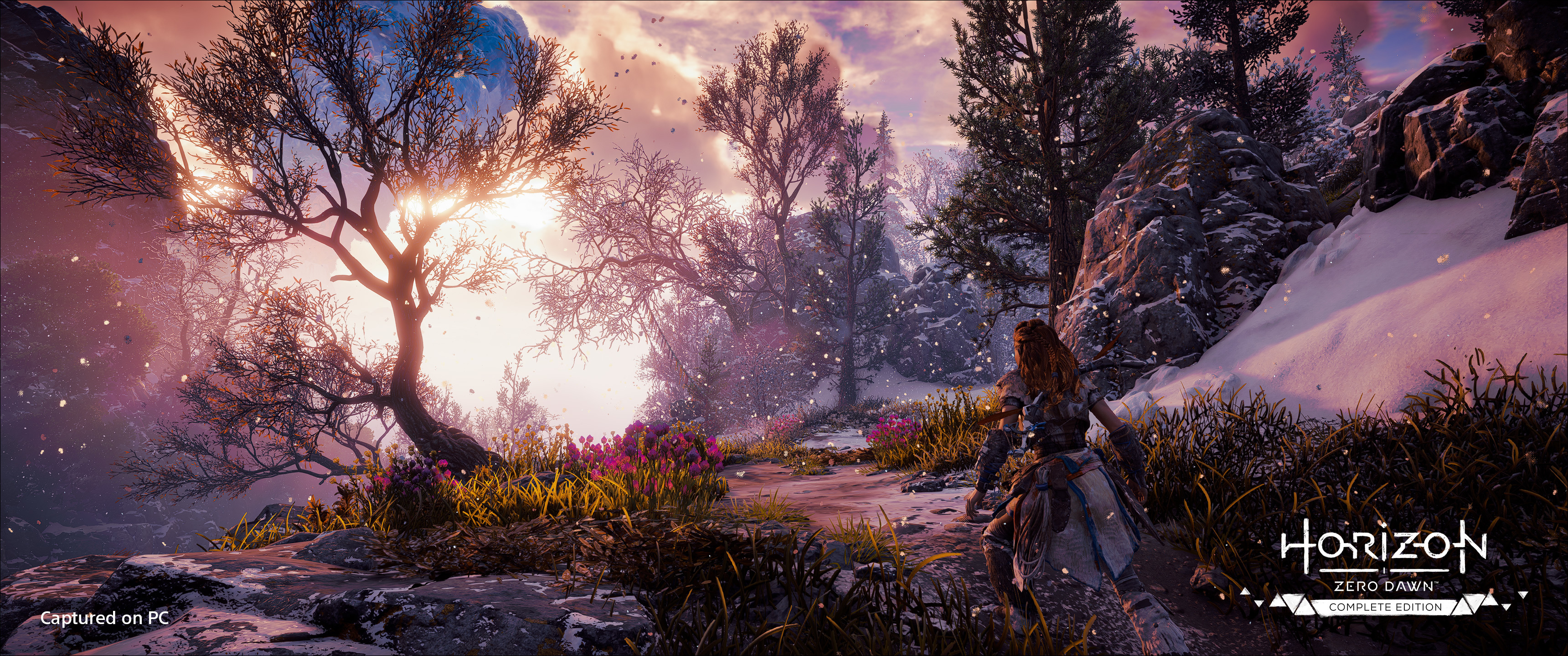 Steam Community :: Horizon Zero Dawn™ Complete Edition