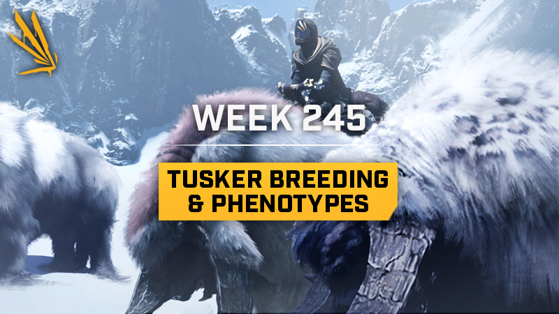 Tusker Breeding & Phenotypes