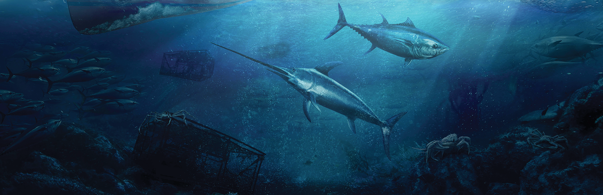 Fishing: North Atlantic & Ultimate Fishing Simulator