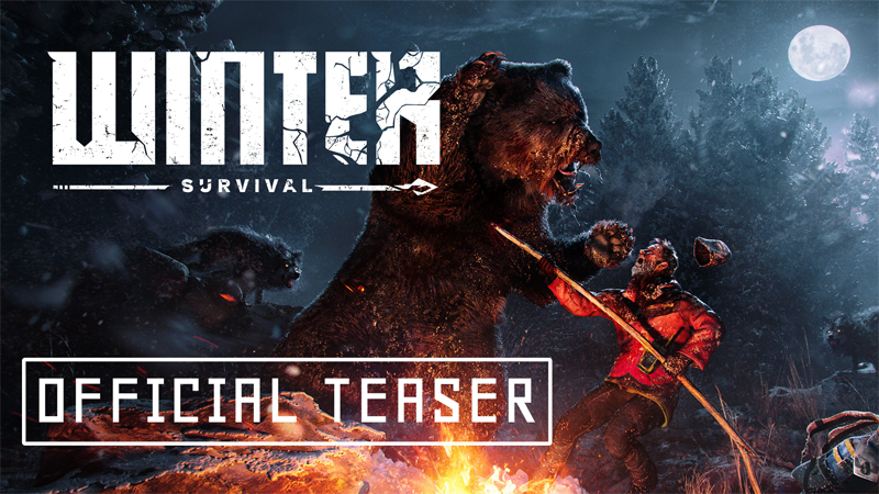 Winter Survival on Steam