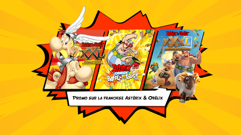 Asterix &amp; Obelix Franchise Sale
