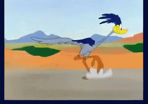 Пони бежит со скоростью 21. Страус бегает. Бегущий страус из мультика. Страус бежит. Дорожный бегун gif.