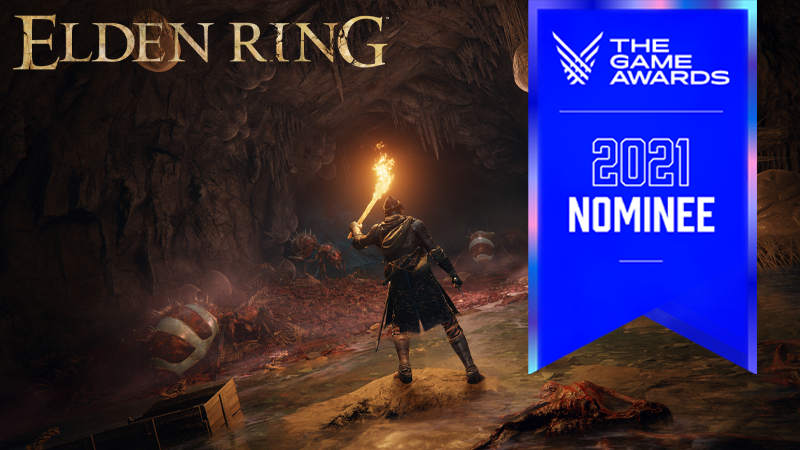 20% Agree With Elden Ring Winning the Game of the Year Title