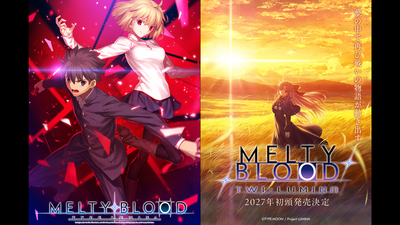 （美品）MELTY BLOOD:TYPE LUMINA メルティブラッド Steamで70% OFF：MELTY BLOOD: TYPE LUMINA