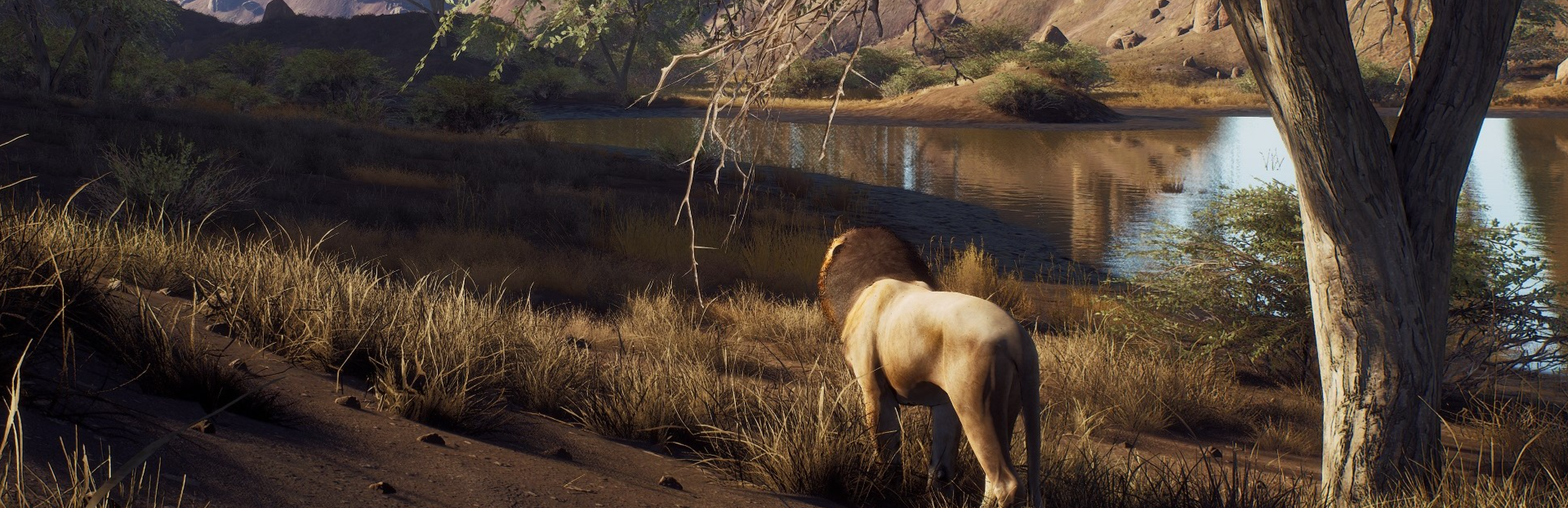 Hunter Log #5