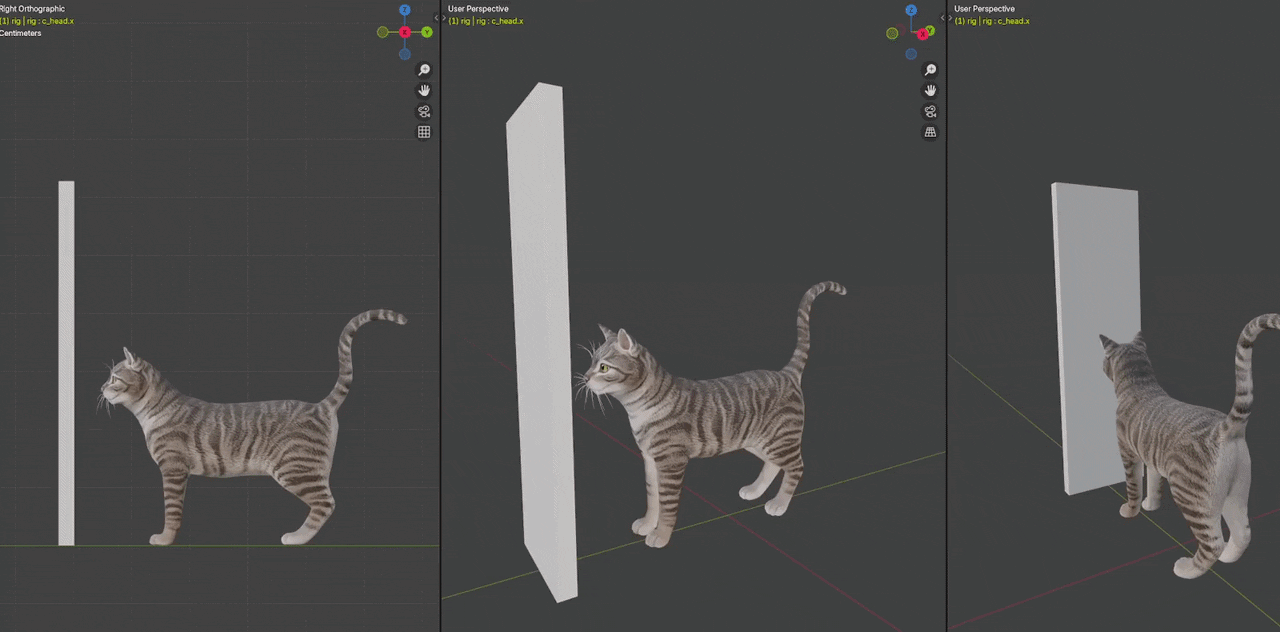 Pet animation 2
