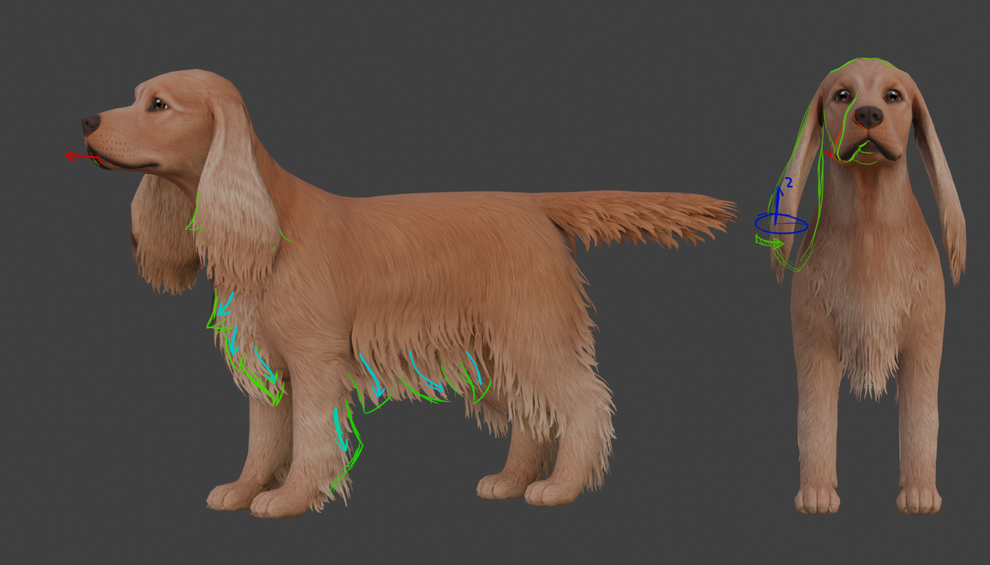 Optimized pet model 1