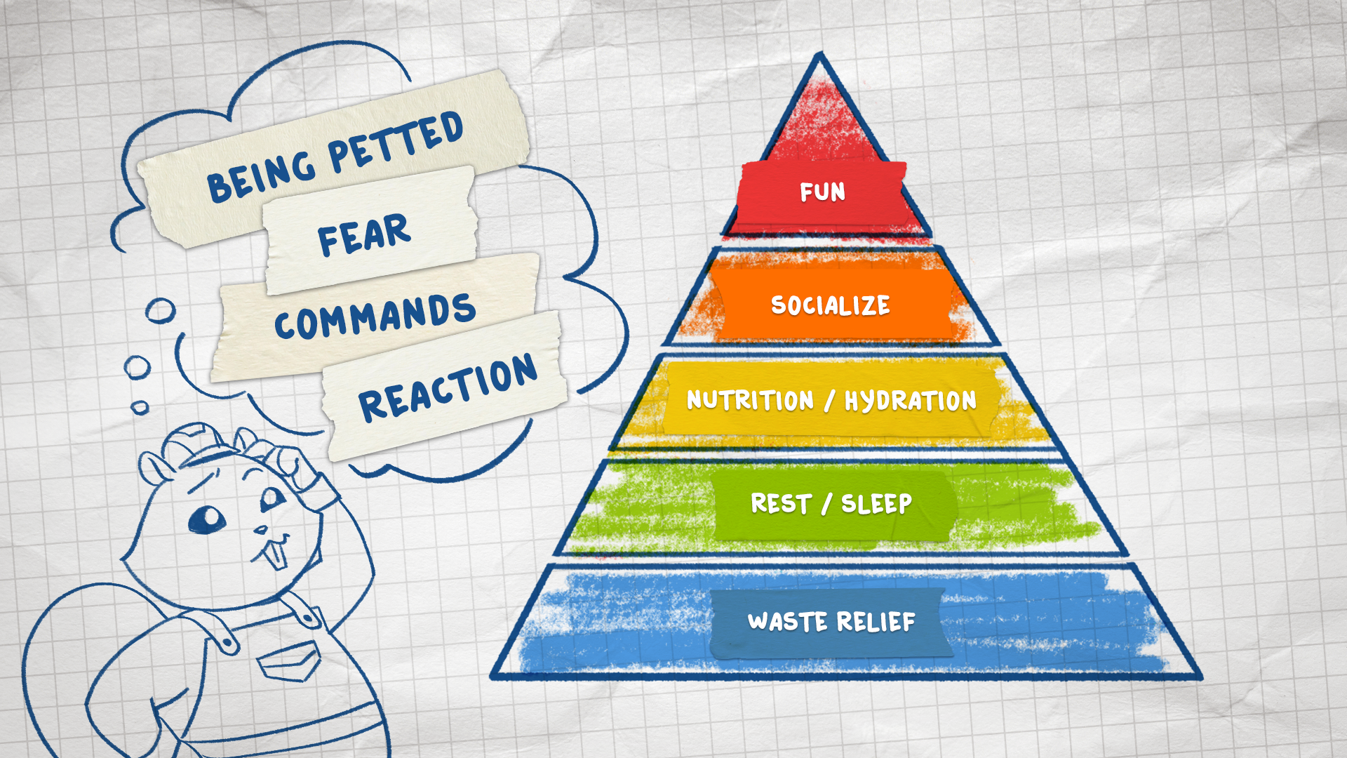 Pyramid of needs