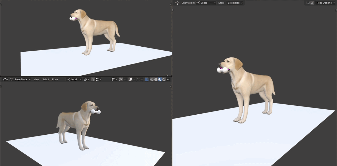 Pet animation 1