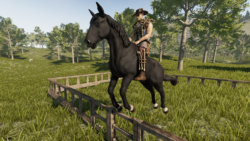 Horse Riding not compatible with Work Camera Mod : r/farmingsimulator