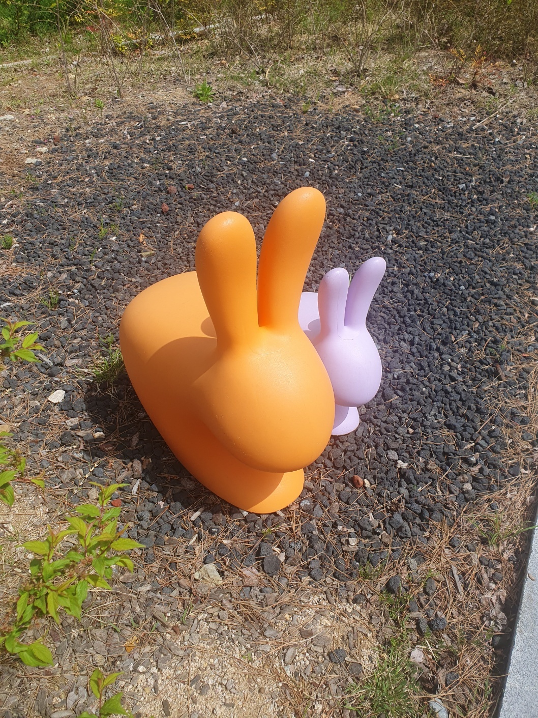 steam-community-star-rabbits