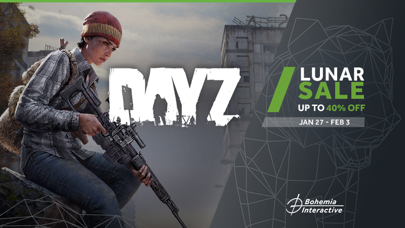 dayz discount steam