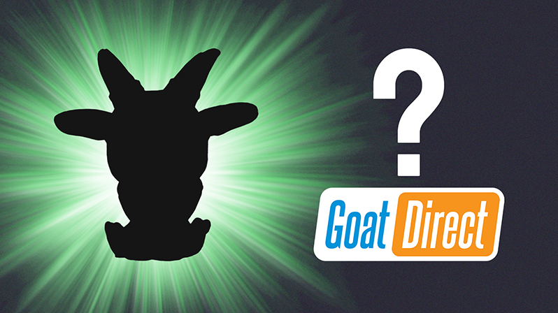 Goat Direct 2025 | OUT NOW