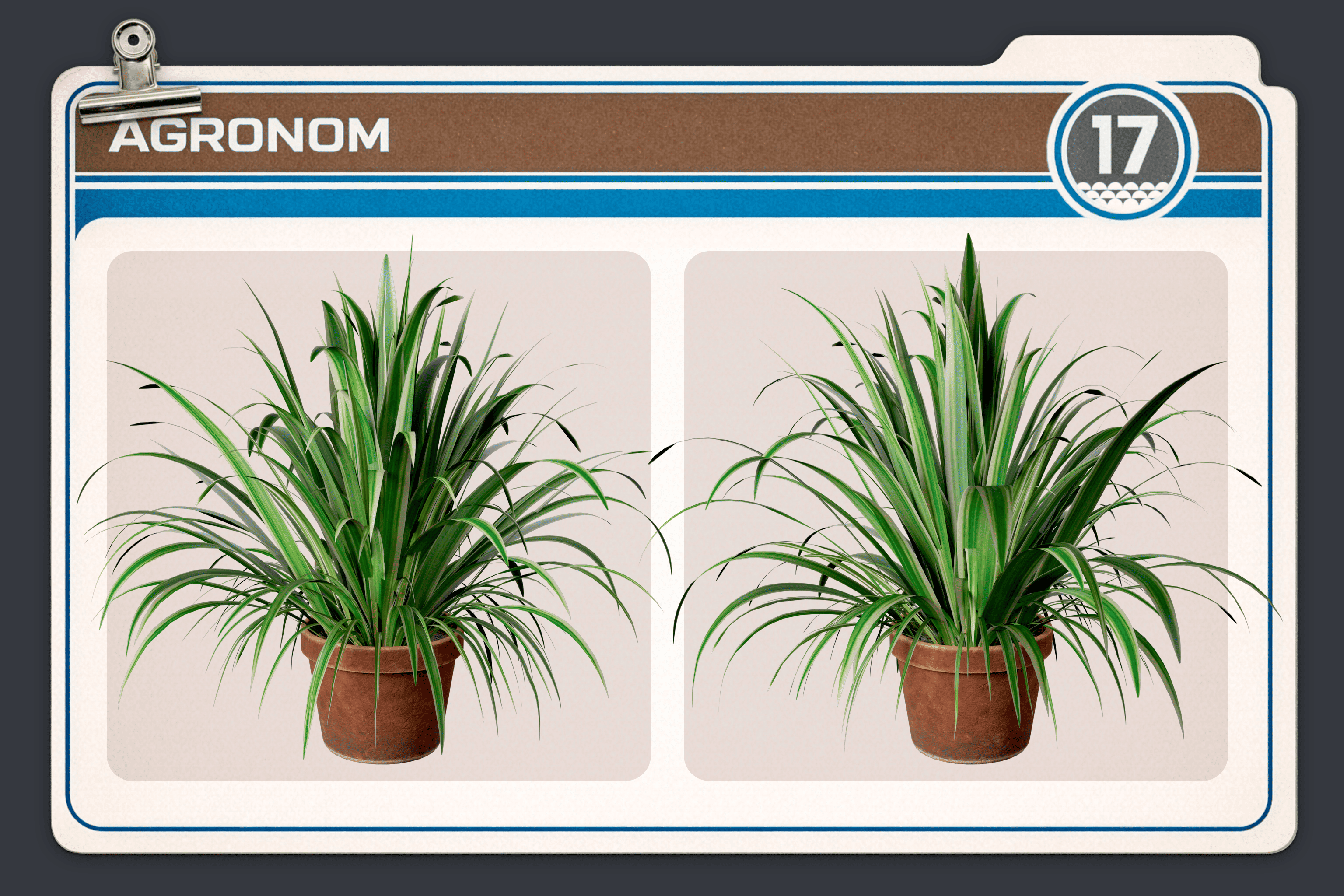 Steam-fllesskab :: AGRONOM