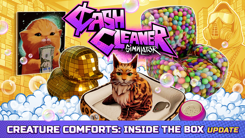 🐱 Creature Comforts: Inside the Box Update