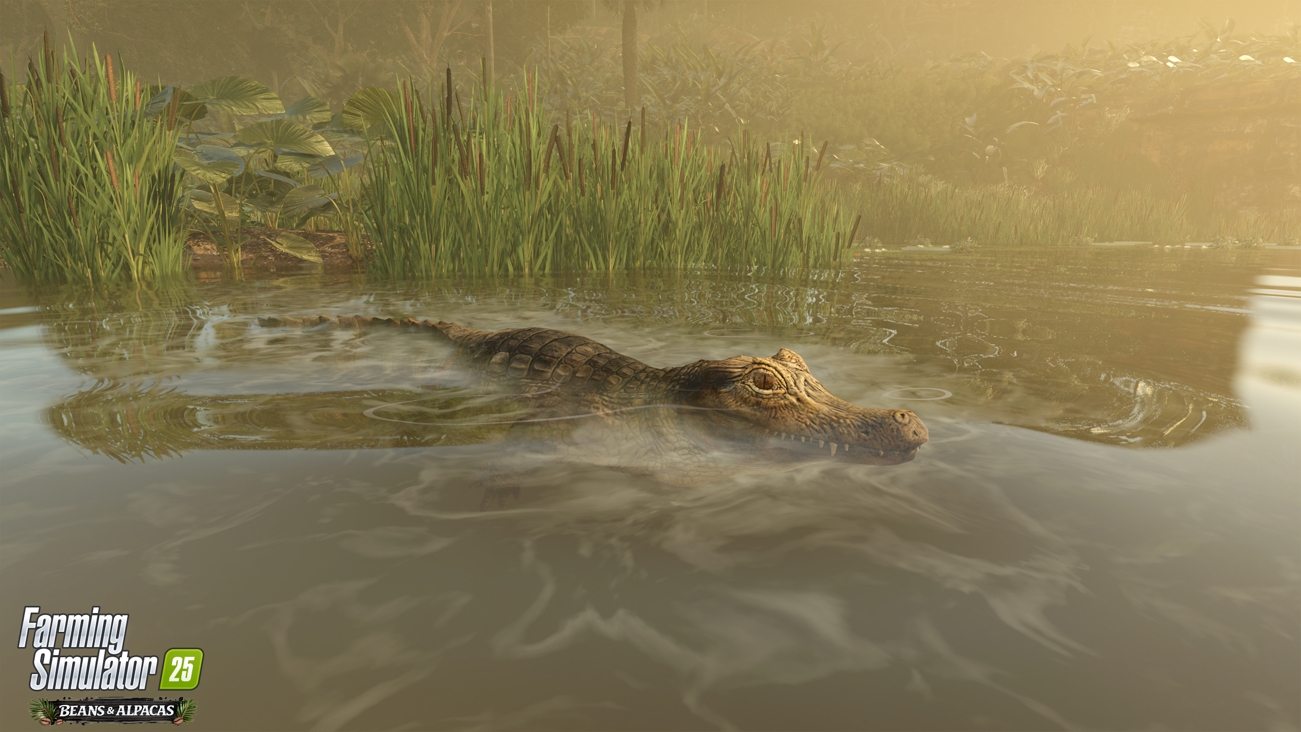 Fauna local